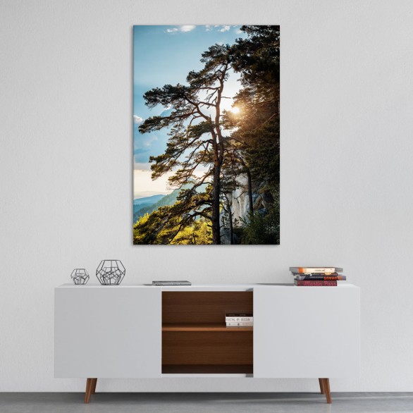 Strom na Súľovských skalách | Súľovské vrchy