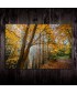 Jesenný les | Slovenské rudohorie
